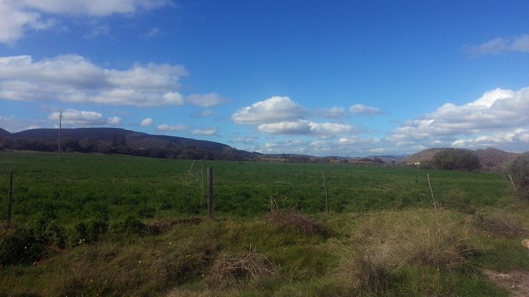 Smallholding near VanWyksDorp in the Western Cape