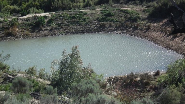 Earthen Dam