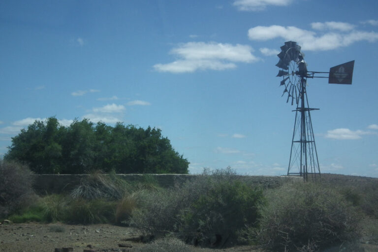 Windmill(Symbol of Karoo)