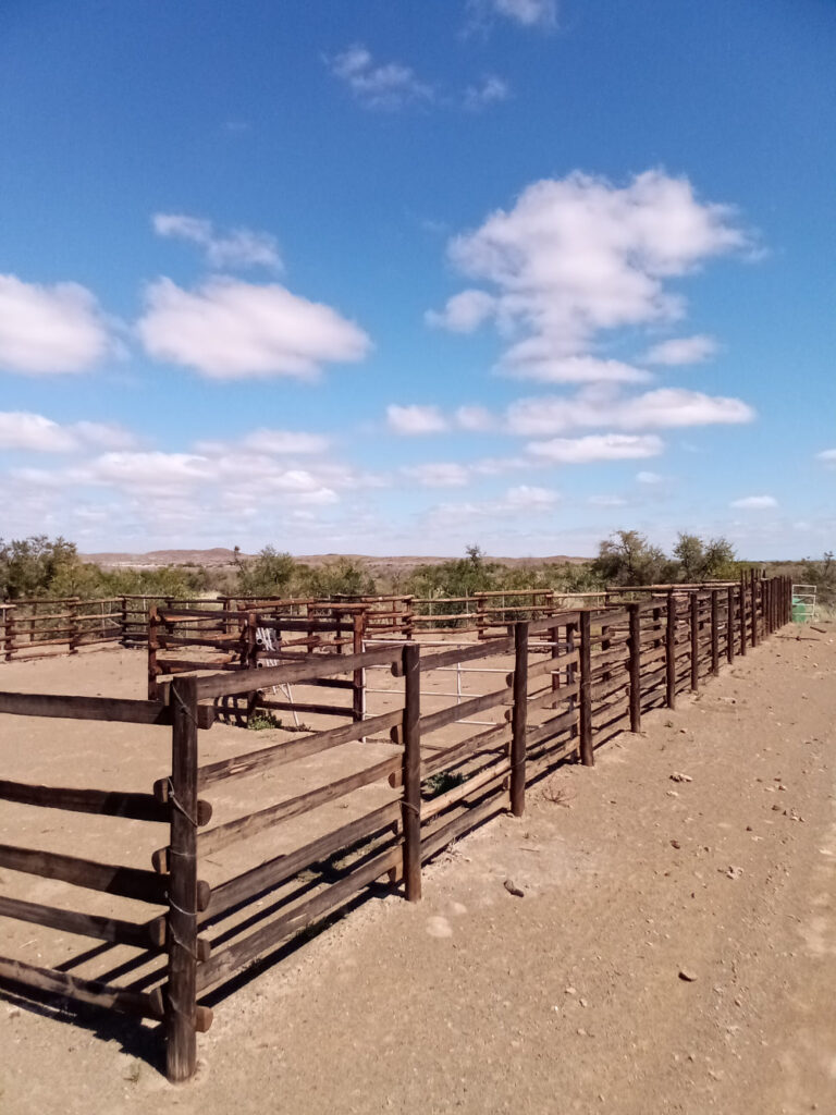 Cattle facility