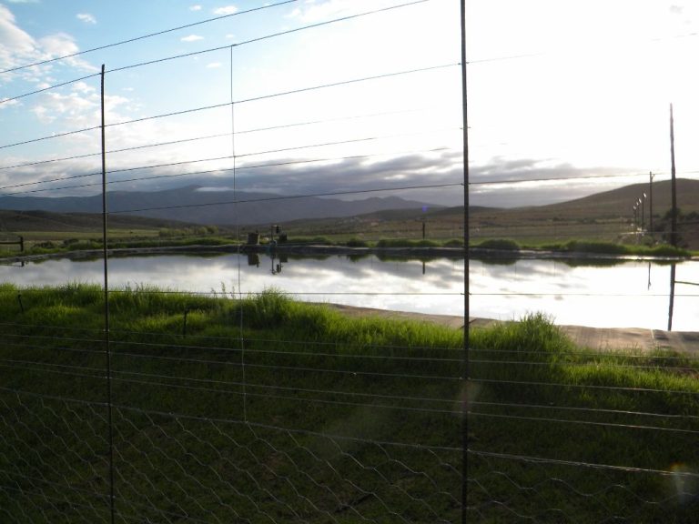 lined dam