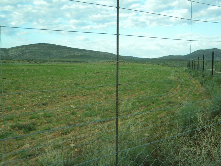oats land 1